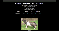 Desktop Screenshot of carlkentandsons.com