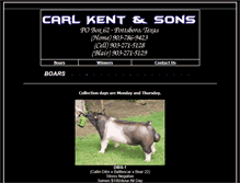 Tablet Screenshot of carlkentandsons.com